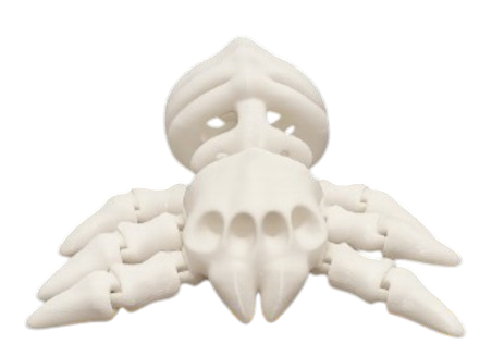 Tarântula Articulada