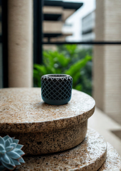 Vaso para Suculentas e Cactos