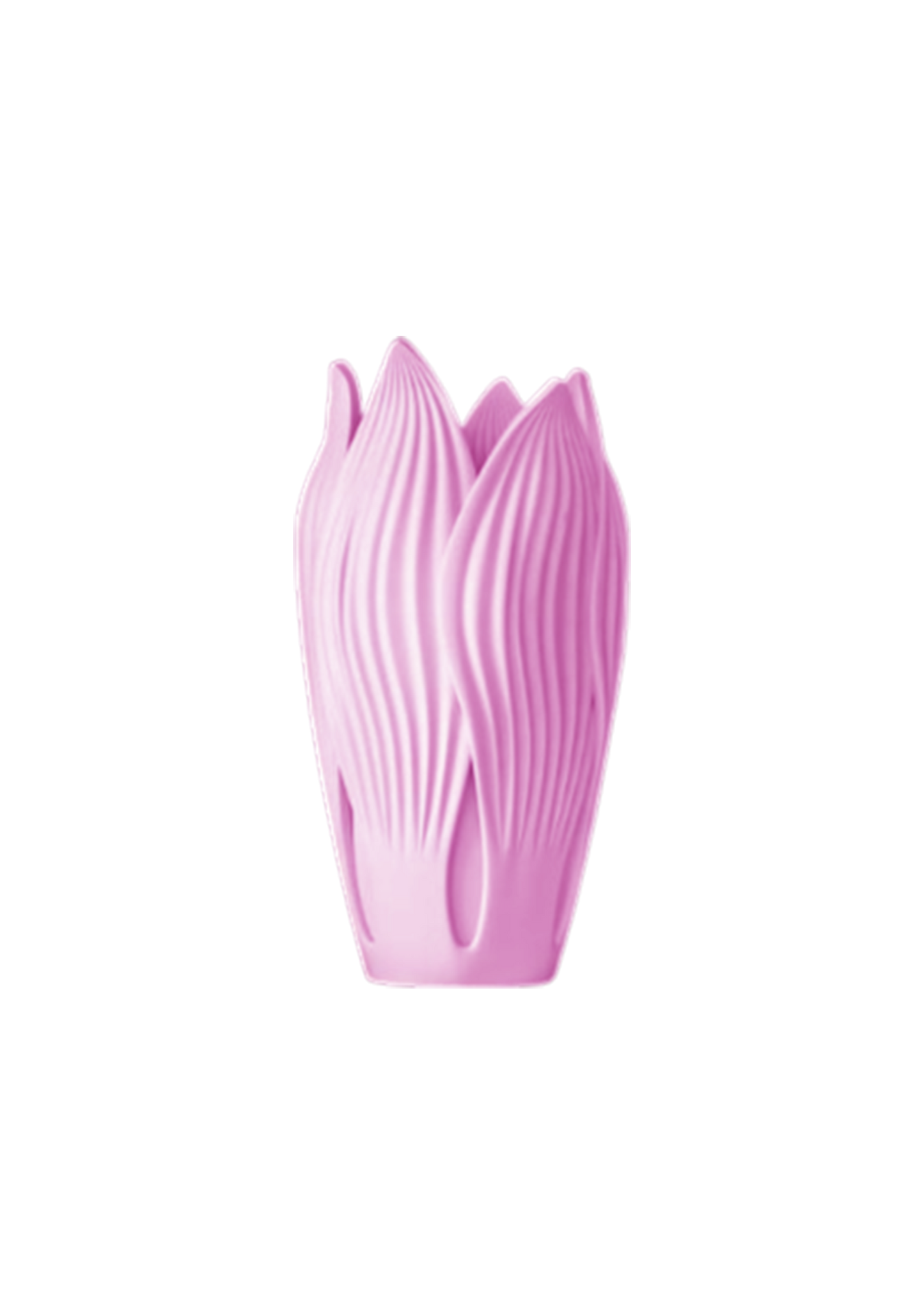 Vaso Florescer
