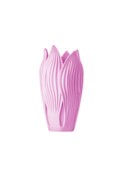 Vaso Florescer